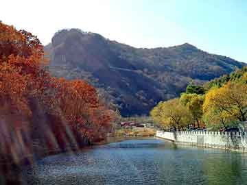 新澳天天开奖资料大全旅游团，我的美女姐姐